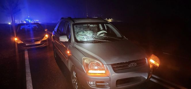 Wypadek na "szesnastce". Matka z dzieckiem w fordzie i tragiczny finał