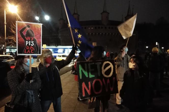 Strajk klimatyczny w Krakowie