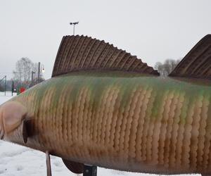 W Węgorzewie stanęły makiety rzeźb ryb [ZDJĘCIA]
