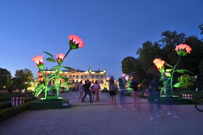 Pałac Branickich w Białymstoku