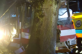 Autobus z dziećmi uderzył w drzewo! Są ranni. Dramat w Trzebiechowie [GALERIA]