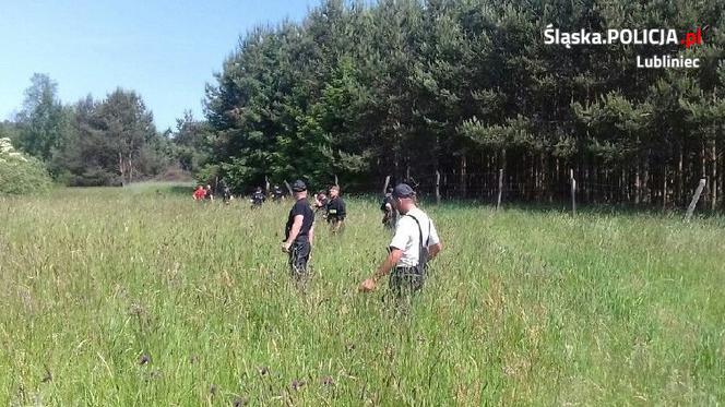 67-letni zwyrodnialec znęcał się nad zwierzętami! Policja znalazła 13 martwych byków i świni [ZDJĘCIA]