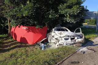 Tragedia pod Gnieznem! BMW wypadło z drogi, nie żyje 22-letni kierowca
