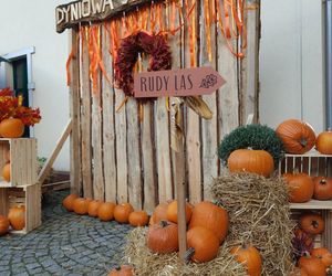 Jesienna atrakcja dla całej rodziny. Zabytkowa stacja w Rudach zaprasza na Pumpkin Express