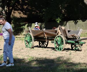 W skansenie w Lublinie pokazali, jak dawniej wyglądały wykopki kartoflane