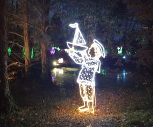 Park Iluminacji w Poznaniu. Magiczny Las