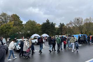 Urząd Miasta Zielona Góra rozdał dynie! Mimo złej pogody były tłumy