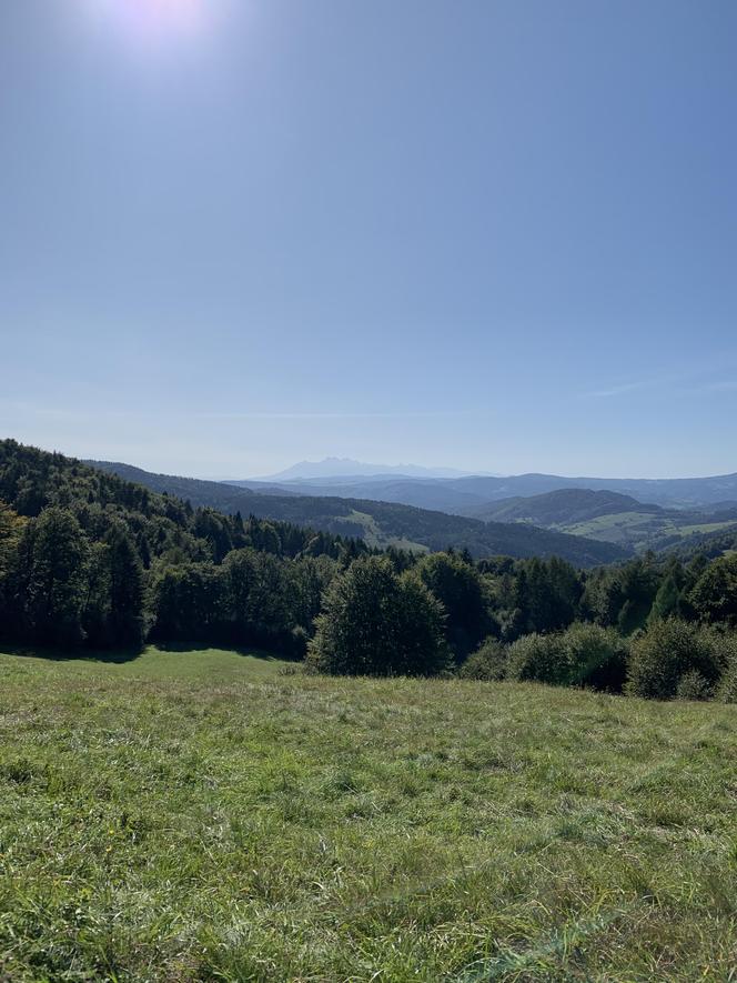 Bacówka Nad Wierchomlą w Beskidzie Sądeckim. To prawdziwy turystyczny hit!