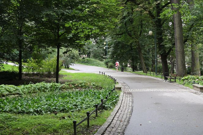 Ogród Saski w Lublinie w wakacyjny poranek 2025