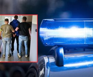 Odpowie za próbę otrucia psów sąsiada. Jego celem były dwa labradory