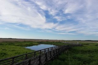 Powiat białostocki to największy powiat w Polsce. Zobacz jego atrakcje