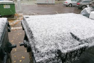 Pierwszy śnieg w Szczecinie