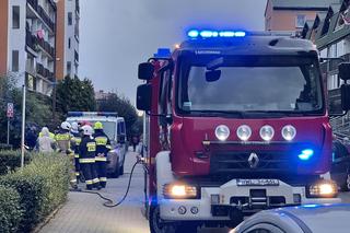 Znalazł w swojej piwnicy ogromny pocisk. Wyniósł go przed blok 