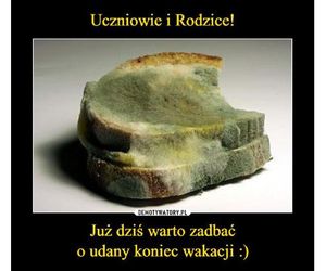 Memy o szkole i końcu wakacji