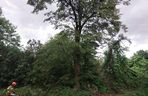 Groźne burze przechodzą przez woj. lubelskie
