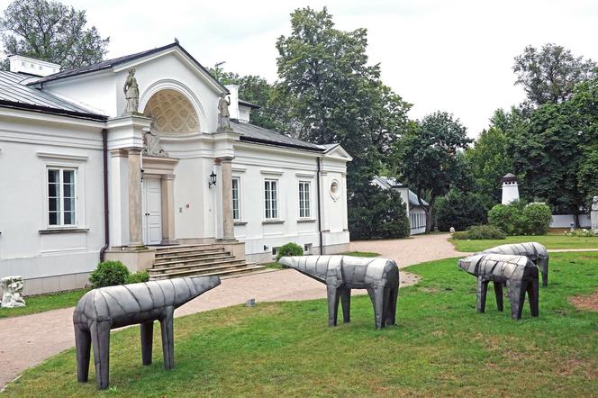 Rzeźby Magdaleny Abakanowicz, Centrum Rzeźby Polskiej w Orońsku