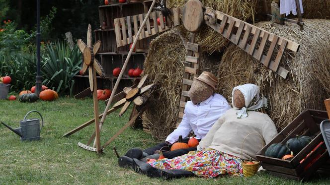 Nowa atrakcja w Lublinie dla dzieci! Farma dyń już działa