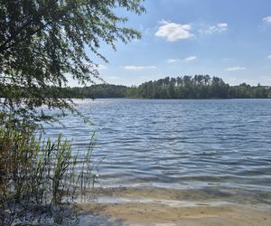 To jezioro w Olsztynie ma niezwykle czystą wodę. Jest kilka dzikich plaż, które świecą pustkami