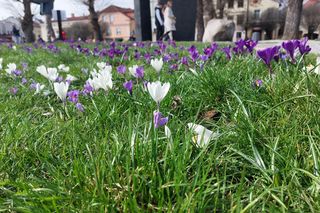 Nawet 19°C w piątek, wiadomo gdzie będzie najcieplej. Prognoza IMGW na 4.04.2025
