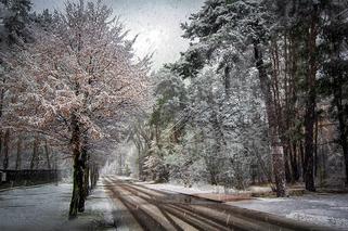 Śnieg ponownie SPARALIŻUJE Poznań? Zima daje się we znaki kierowcom