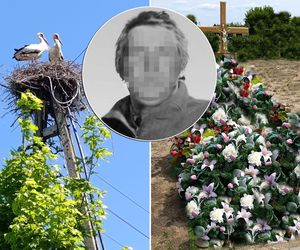 Pan Czesław zginął ratując ukochanego boćka. Posypały się iskry, runął z drabiny! 