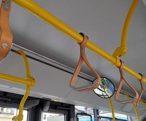 Prezentacja elektrycznych autobusów w Zamościu