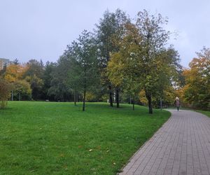 To najpiękniejszy park miejski w Olsztynie według AI. Zajmuje niemal 13 hektarów!