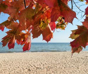Najlepsze plaże nad Bałtykiem na jesień