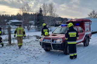 Przymarznięte łabędzie i kaczki w stawie. Strażacy ruszyli na pomoc. Zwierzęta były... sztuczne