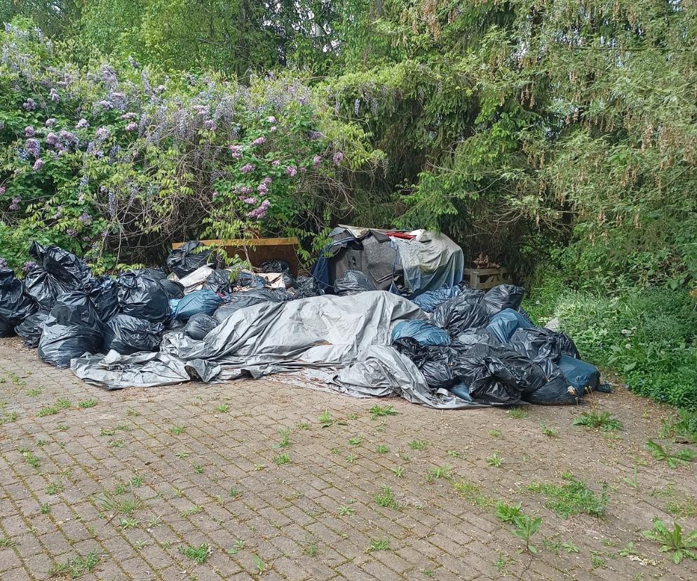 Śmieci na ulicy Jeżynowej w Poznaniu