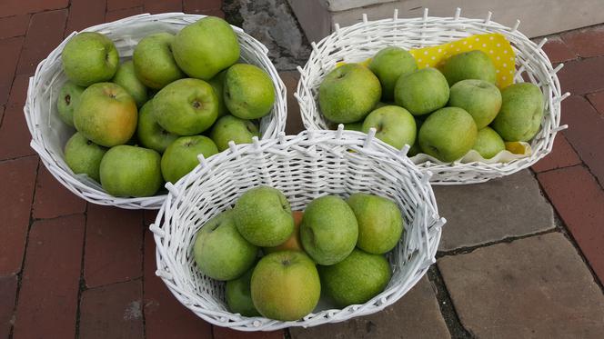 "I love green" na Rynku Wielkim w Zamościu