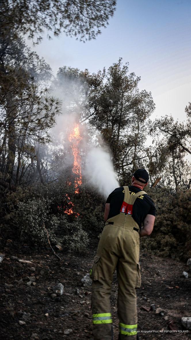 Są w samym centrum piekła. Polscy bohaterowie walczą z pożarami w Grecji