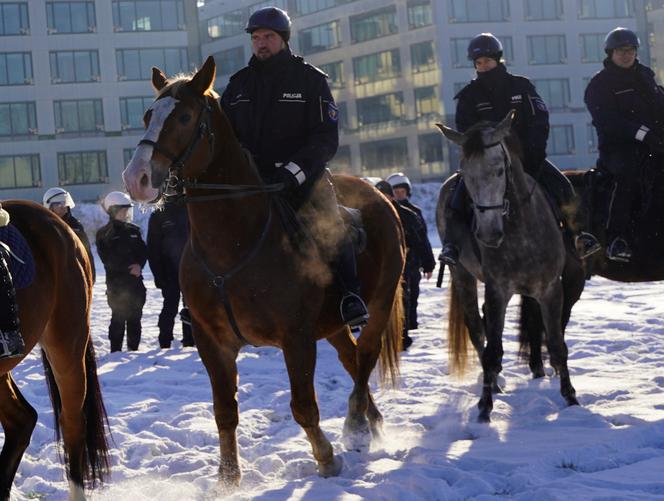 Warszawa: konie w policyjnej służbie