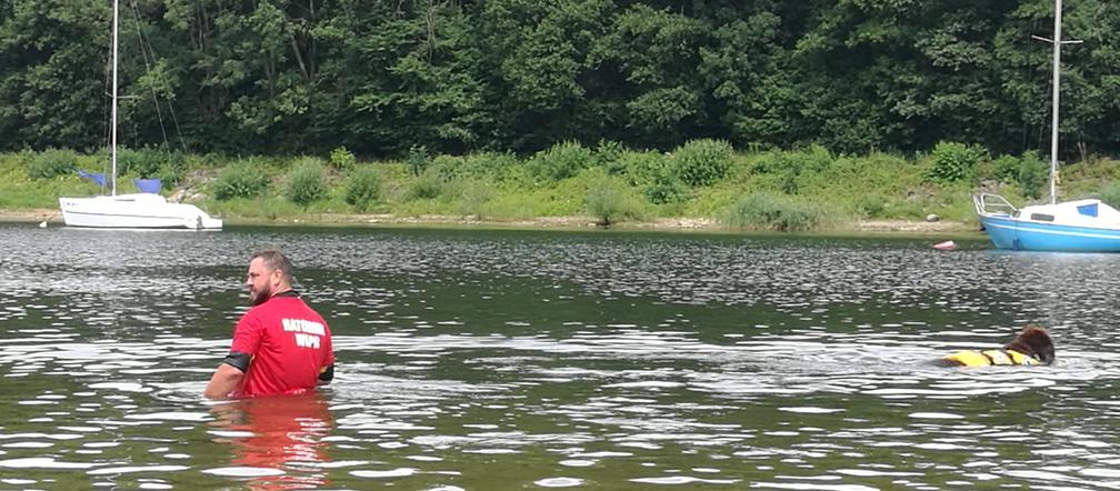 I Festiwal Psów Ratowniczych na plaży miejskiej w Żywcu