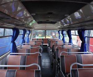 Katarzynki 2024 - wystawa autobusów przy Galerii Panorama