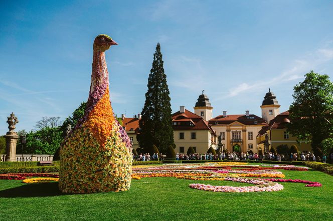 Festiwal Kwiatów 2025. Zamek Książ