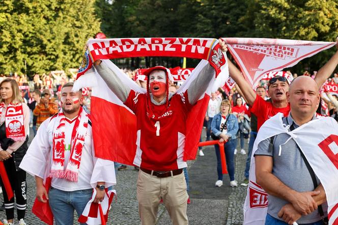 Polska - Brazylia: kibice w Strefie Kibica w Katowicach