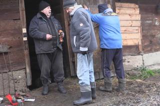 Rolnicy. Podlasie. Nerwowo w Plutyczach. Gienek żartował, Walek komentował