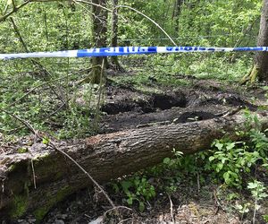 Marek został brutalnie zamordowany, a jego ciała nigdy nie odnaleziono. Zagadkę rozwiązano dopiero po niemal 30 latach