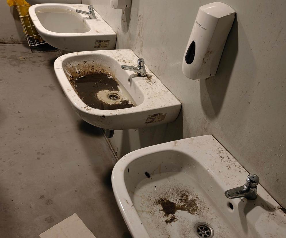 Toalety na stadionie Śląska