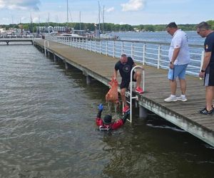Płetwonurkowie oczyszczali plaże w Iławie. W wodzie masa śmieci