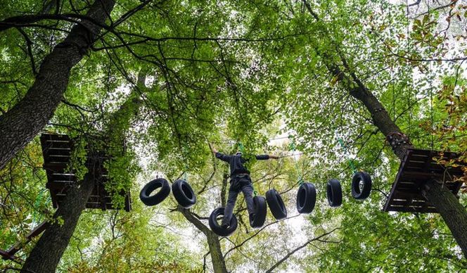 Krakowski Park Linowy