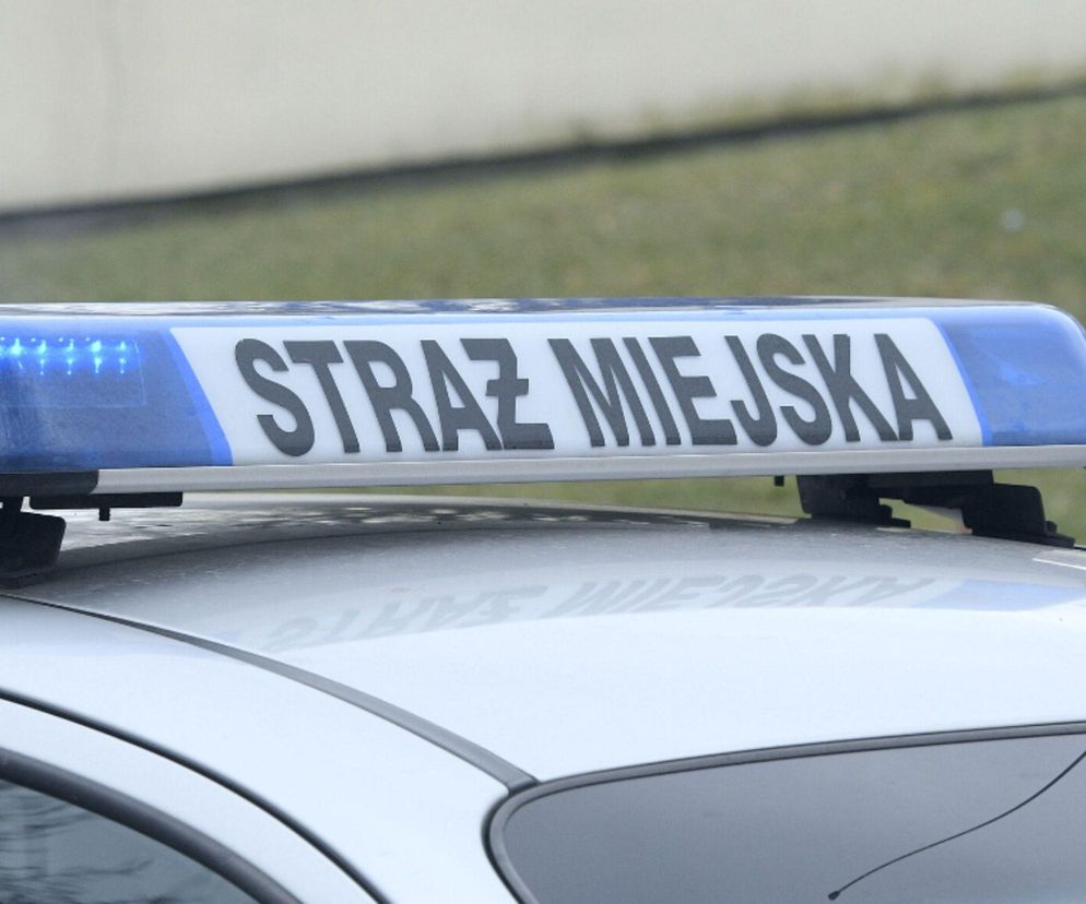 Ruszają akcje Znicz i Hiena. Kilkuset funkcjonariuszy na ulicach Warszawy