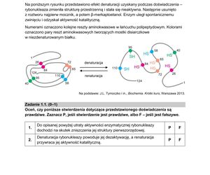 Matura 2025 - biologia