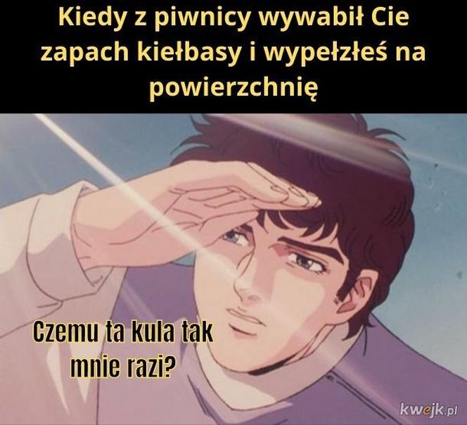 Memy na majówkę 2023. Te obrazki rozbawią Cię do łez!