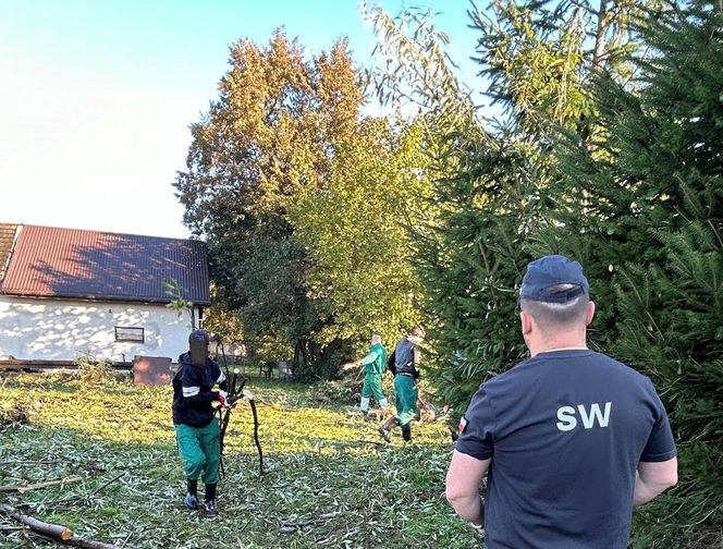 Więźniowie z Zakładu Karnego w Jastrzębiu-Zdroju pomagają powodzianom