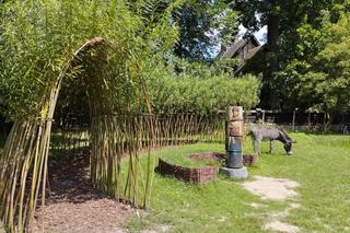 Rezerwat Zawodzie-Kalisz