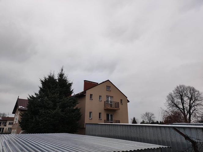 Zwłoki kobiety znalezione przy domu zakonnym. Siostry czuły fetor, szokujące zeznania sąsiadki