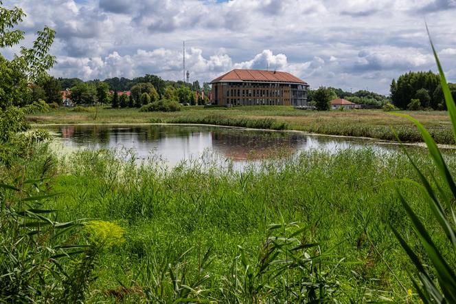 W Olsztynie odrodziło się dawne jezioro? Na nowych mapach go nie znajdziemy