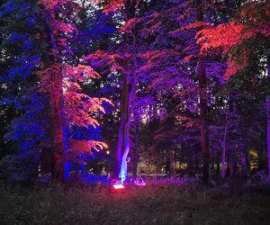 Olsztyn zamienił się w magiczną krainę. Park Świateł przyciągnął tłumy!